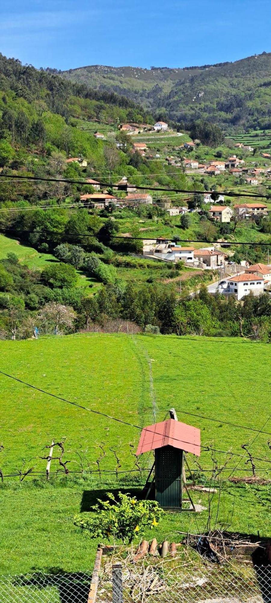 Refugio Dos Cartolas São Mamede de Infesta Eksteriør billede